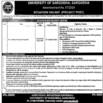 Today New Jobs in University of Sargodha Job 2024