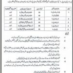 Animal Health Veterinary Services Office Muzaffarabad Jobs 2024