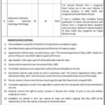 Bahawal Victoria Hospital Bahawalpur Jobs Recruitment 2025 New Jobs