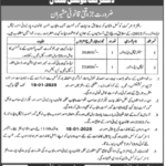 District Council Multan Jobs January 2025 New Jobs