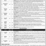 Khyber Pakhtunkhwa Food Security Support Project Jobs January 2025 New Jobs