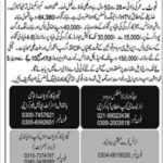 National Logistic Corporation NLC Jobs 2025