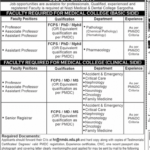 Niazi Medical and Dental College Sargodha Jobs 2024 Latest