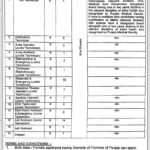 Nishtar Hospital Multan Jobs 2024 Latest