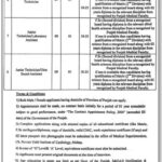 Pervaiz Elahi Institute of Cardiology Multan Jobs 2025