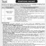 Shaheed Benazir Bhutto University of Veterinary Jobs 2025