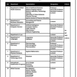 The University Of Chenab Gujrat Jobs 2025 Apply Online