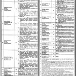 University of Okara New Jobs 2024 Latest