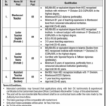 MLC Jobs 2025 January New Job Notification Advertisement in Details