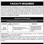 NUR International University Jobs 2025 Latest