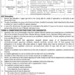 Pakistan Railways Jobs 2025 Explore new Career opportunities/ Application