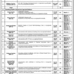 Social Welfare, Special Education & Women Empowerment KPK Jobs 2025 Advertisement, Check Last Date to Apply